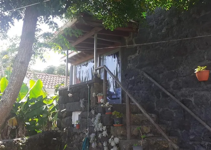 Adega Do Pesqueiro Alto * 拉日什杜皮库